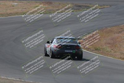 media/May-04-2024-Lucky Dog Racing (Sat) [[d39539b3f3]]/Practice I Qualifying (Turn 4a)/